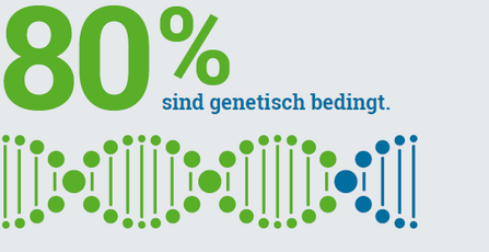 Grafik: Von den Seltenen Erkrankungen sind rund 80 Prozent genetisch bedingt.