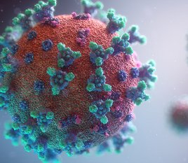 Gemeinsam gegen das Coronavirus