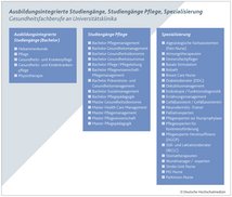 Ausbildungsintegrierte Studiengänge, Studiengänge Pflege, Spezialisierung